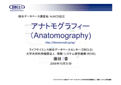 アナトモグラフィー(Anatomography)