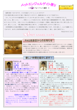 第7号