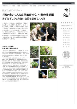 HATAGOリポート／井仙・食いしん坊3兄弟がゆく