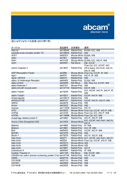 抗ショウジョウバエ抗体（2013年7月）