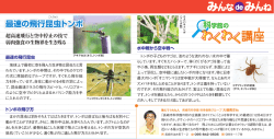 最速の飛行昆虫トンボ