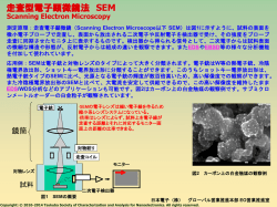 走査型電子顕微鏡法 SEM