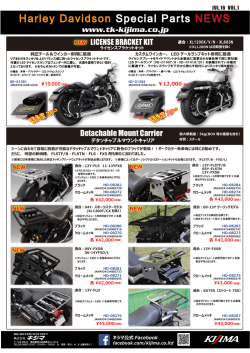 Detachable Mount Carrier