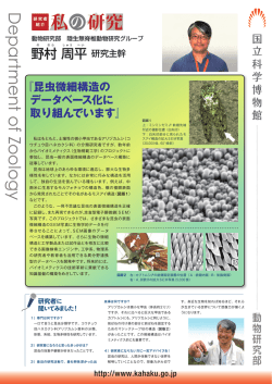 更新日時：2014/11/28 サイズ