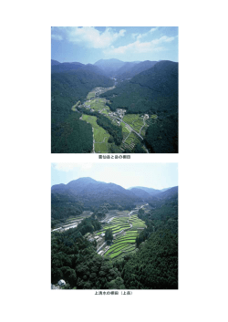 雲仙岳と岳の棚田 上清水の棚田