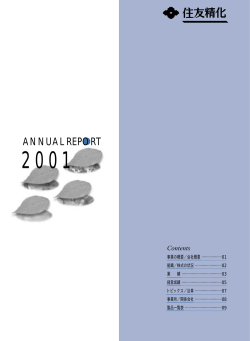 ANNUAL REPORT