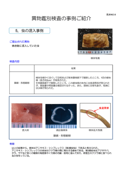 焼き鮭に混入していた虫