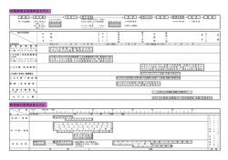 水稲病害虫防除体系モデル PDFファイル