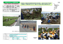 船形水辺子ども農園活動