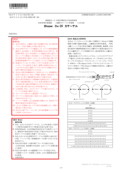 Blazer Dx-20 カテーテル - Boston Scientific