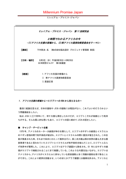 Millennium Promise Japan
