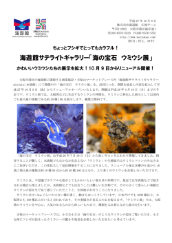 海遊館サテライトギャラリー「海の宝石 ウミウシ展」 かわいいウミウシたち