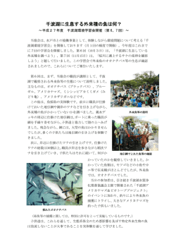 千波湖に生息する外来種の魚は何？