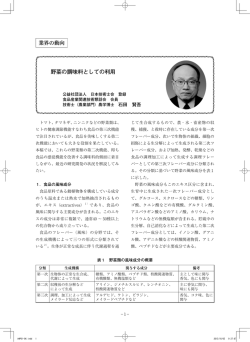 野菜の調味料としての利用