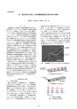 46 縫合技術を利用した炭素繊維織物強化複合材料の開発