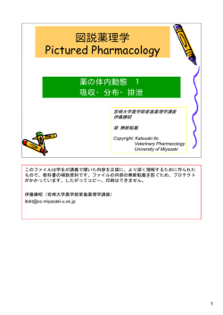 薬の体内動態 - Hi-HO