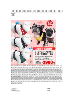 【生活に寄り添う】 大型犬 用 首輪販売店,犬の首輪作り方 アマゾン 人気