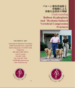 PDF(2006年版)