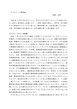 2003年レポート（PDF：164KB）