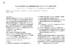 【3】巨大血小板に起因する血小板数偽低値の補正におけるクロロキン