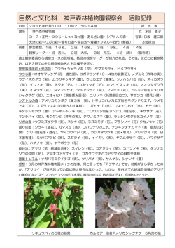 神戸森林植物園観察会
