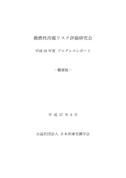 微燃性冷媒リスク評価研究会