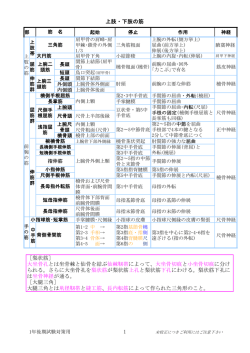 解剖学 筋肉 - So-net