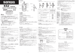 SAFETY PHASE DETECTOR