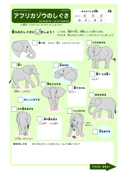 アフリカゾウのしぐさ