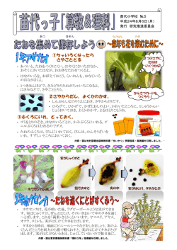 5 たねをとろう 七夕は旧暦で8月rika4 へのリンク24日