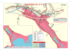 普代村津波ハザードマップ