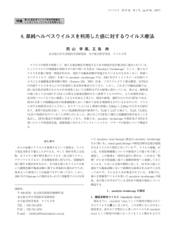 5. 単純ヘルペスウイルスを利用した癌に対する