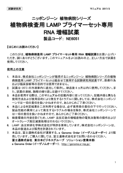植物病検査用 LAMP プライマーセット専用 RNA 増幅試薬