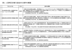 第11回特区計画で追加された案件の概要