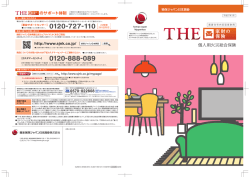 THE 家財の保険_損保ジャパン日本興亜