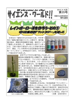 第35号 - 那覇市立教育研究所