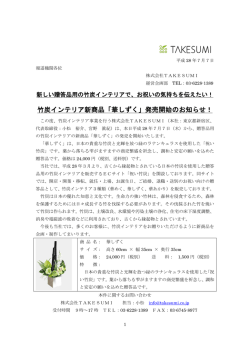 - 株式会社TAKESUMI