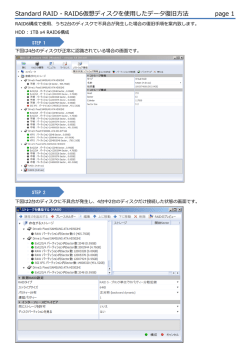 Standard RAID - RAID6仮想ディスクを使用したデータ