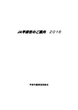 平成28年度ディスクロージャー（PDFファイル）