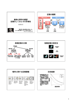 動物心理学の展望 記憶のしくみとその多様性 記憶の種類 長期記憶の