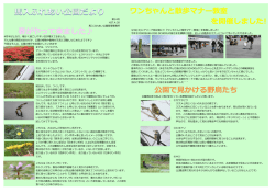 にアリーナ前広場にて『ワンちゃんと散歩マナー教室』