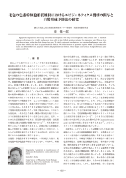 毛包の色素幹細胞形質維持におけるエピジェネティクス機構の関与と