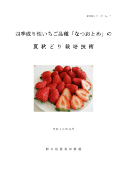 四季成り性いちご品種「なつおとめ」の 夏 秋 ど り 栽 培 技 術