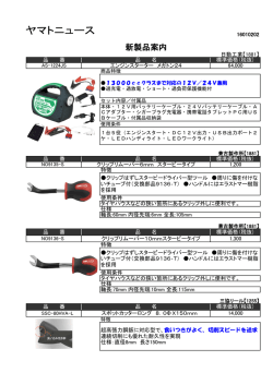 AS-1224JS [ エンジンスターター メガトン24 ]