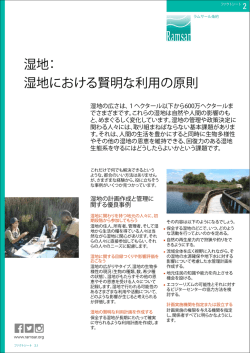 湿地における賢明な利用の原則 - Wetlands International Japan