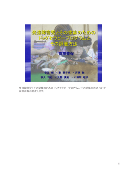 本発表のスライド
