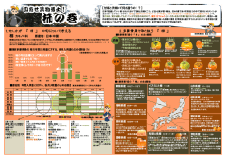 柿 - 東京多摩青果株式会社