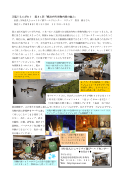 第34回レポート