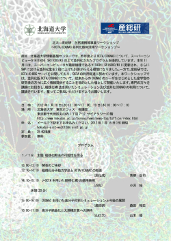 北大―産総研 包括連携等事業ワークショップ ～OCTA/COGNAC 並列
