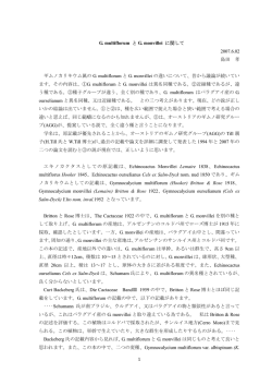 6 - new